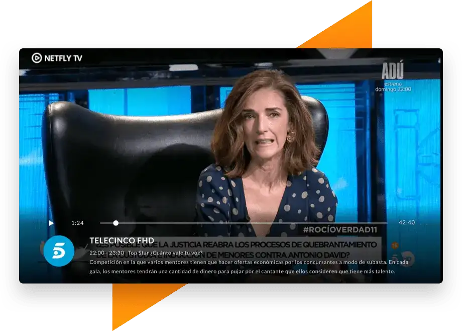 Netfly TV TV guide